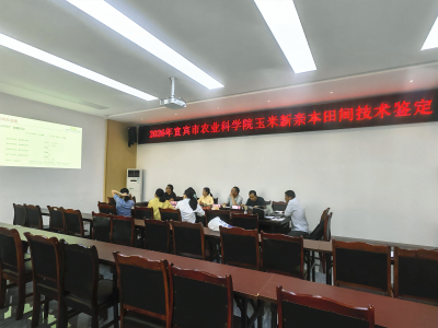 微信图片_20260615110827_副本.jpg 微信图片_20260615110827_副本.jpg