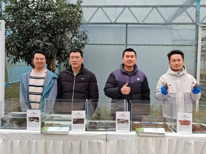 图片4_副本.jpg