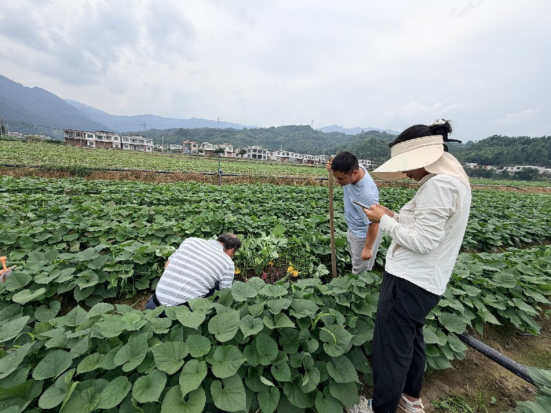 微信图片_20260617162019_3_365_副本.jpg