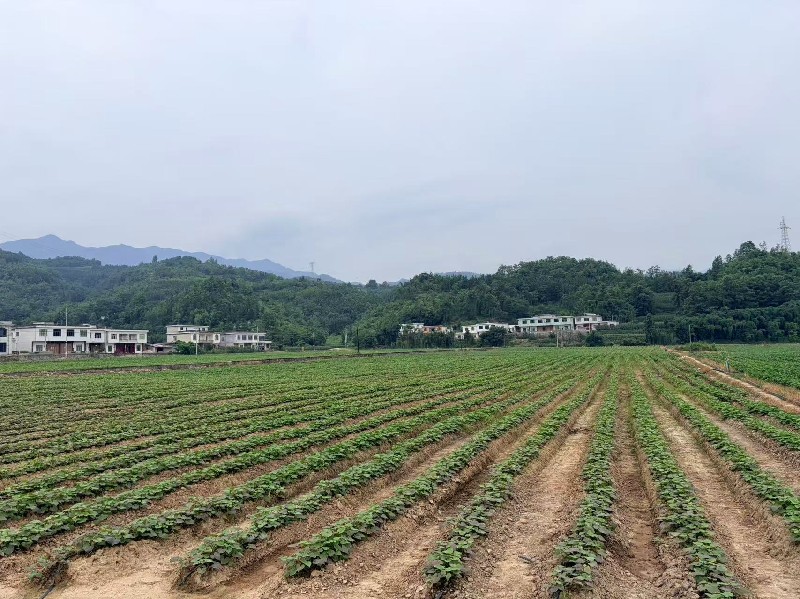 微信图片_20260617162025_4_365_副本.jpg
