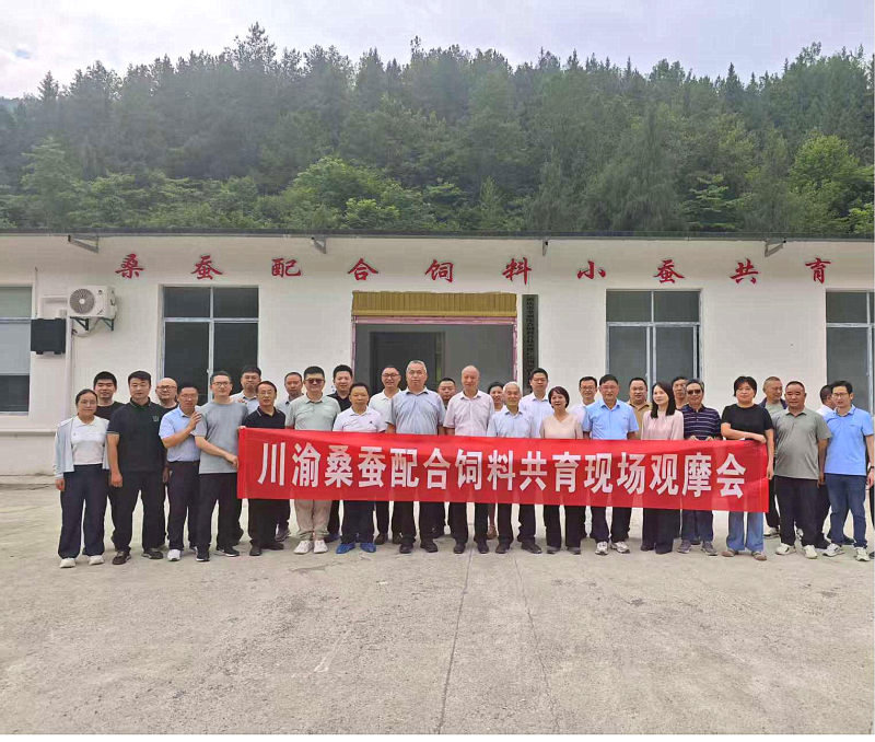 图片1_副本.jpg
