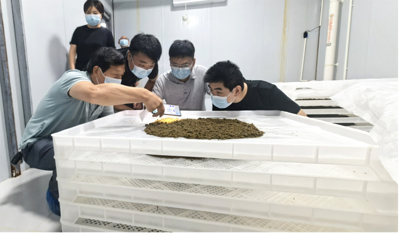 图片2_副本.jpg