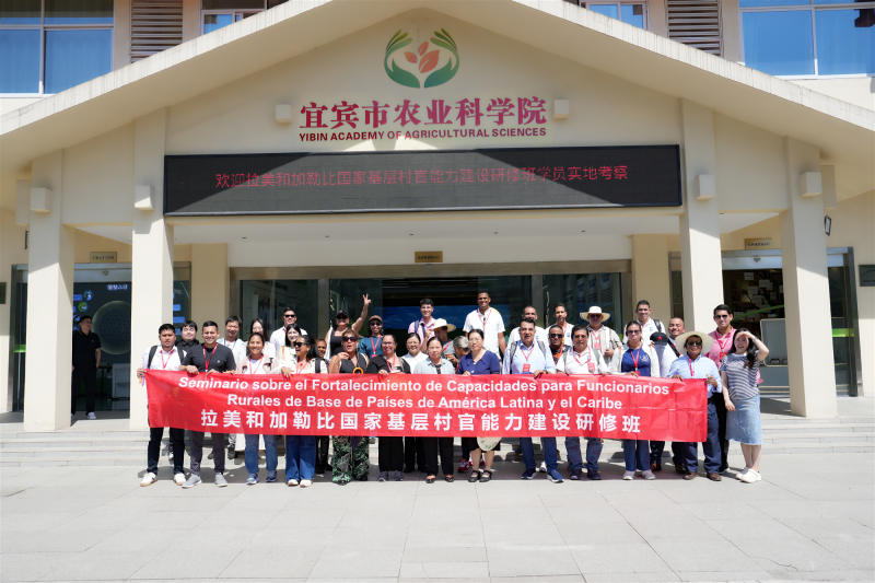 DSC03103_副本_副本.jpg DSC03103_副本_副本.jpg