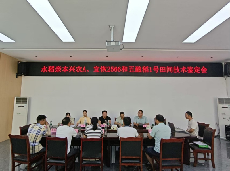 图片2_副本.jpg 图片2_副本.jpg