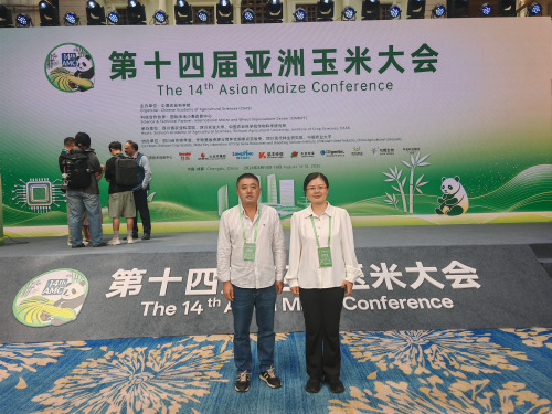 图片2_副本.jpg