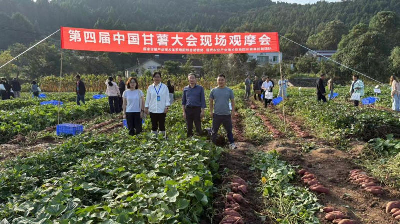 图片3_副本.jpg