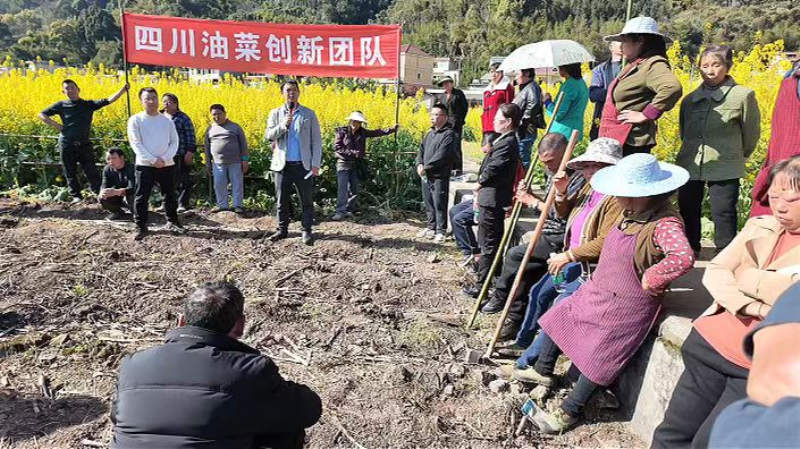图片2_副本.jpg 图片2_副本.jpg